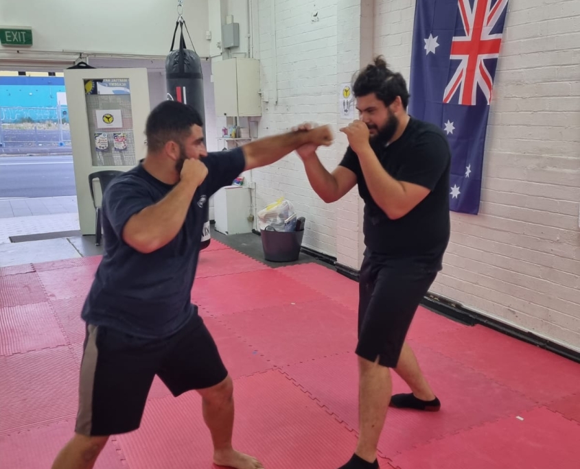 adults self-defence