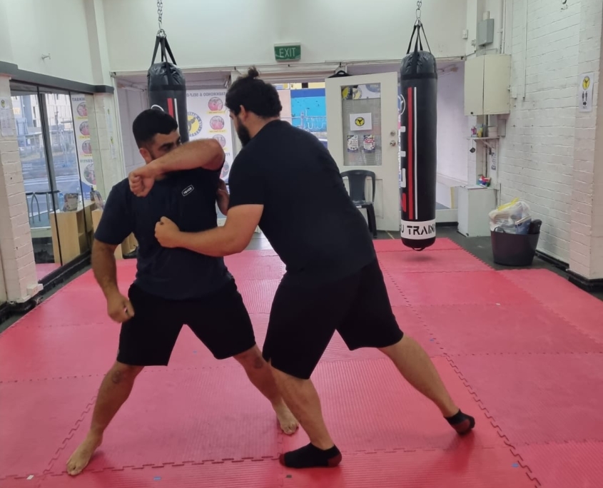 adults self-defence