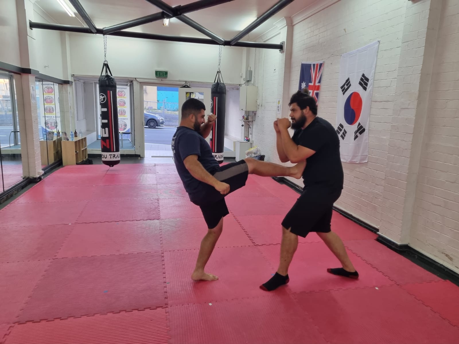 adults self-defence